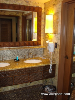 Vanity area