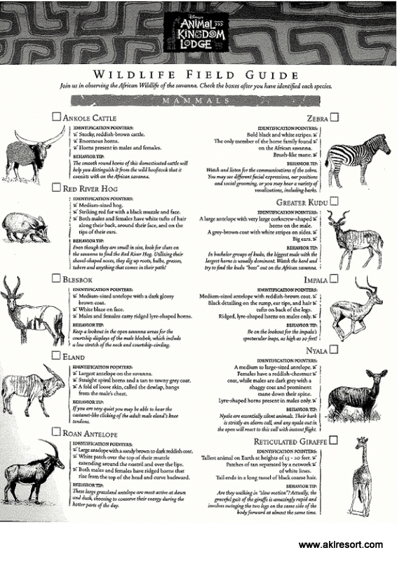 In-Room Wildlife Field Guide: Front