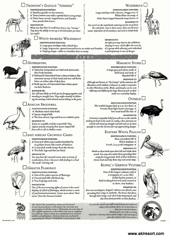 In-Room Wildlife Field Guide: Back