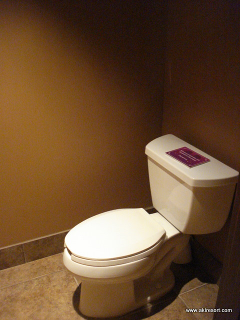 Master Bath toilet
